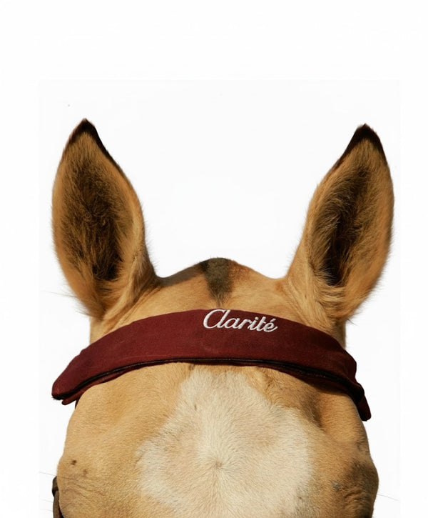 Horse wearing a brown ear cover with 'Clarité' branding on a white background