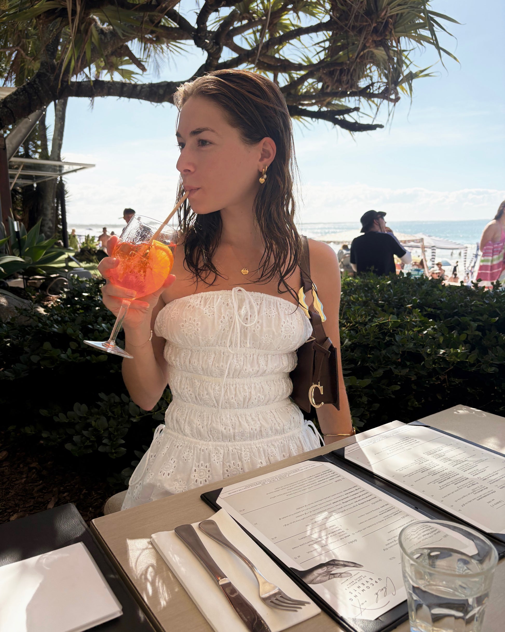 nicolebagclariteEveningbagstatementgolddetailingvintagebigbucklebrownsummerdetailformalcocktail