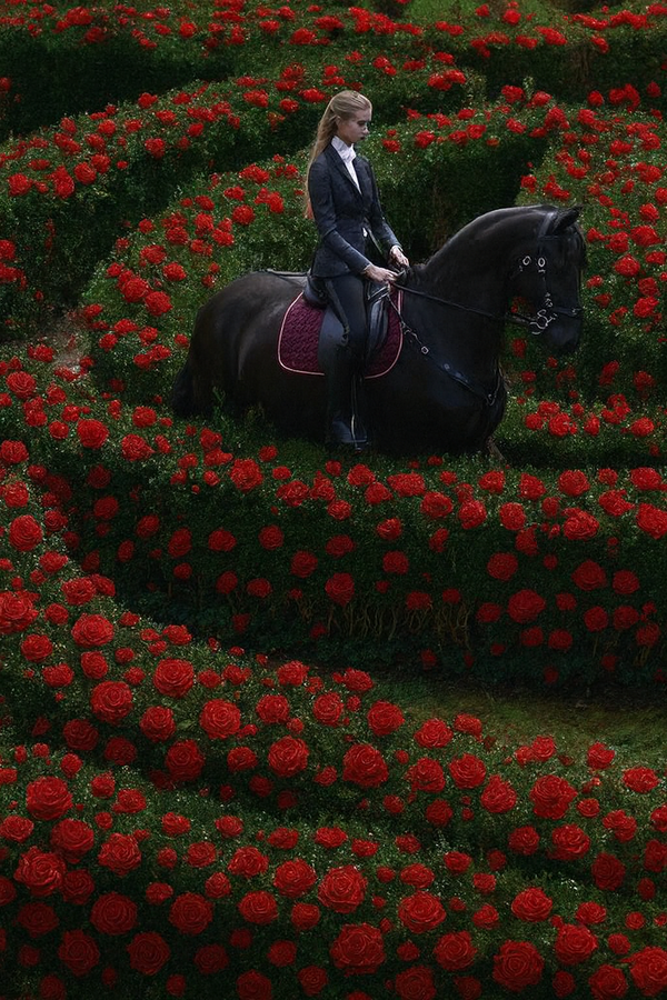 Woman riding a horse through a garden of red flowers